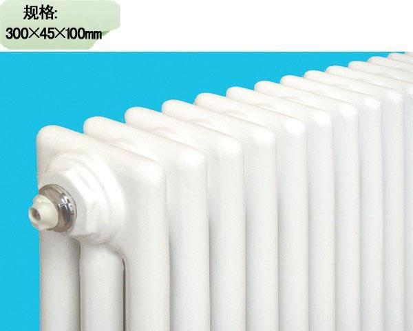 九鼎鼎立系列鋼三柱3-300鋼制散熱器產(chǎn)品價(jià)格_圖片_報(bào)價(jià)_新浪家居