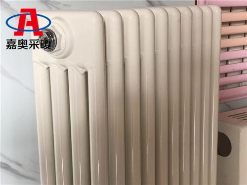 武穴QFGZ409鋼制柱式散熱器綜合性能檢測(cè)報(bào)告